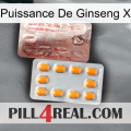 Ginseng Power X new13